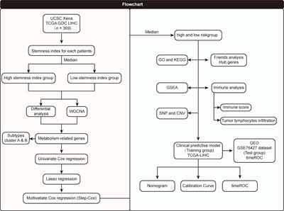 Integrated analysis revealing a novel stemness-metabolism-related gene signature for predicting prognosis and immunotherapy response in hepatocellular carcinoma
